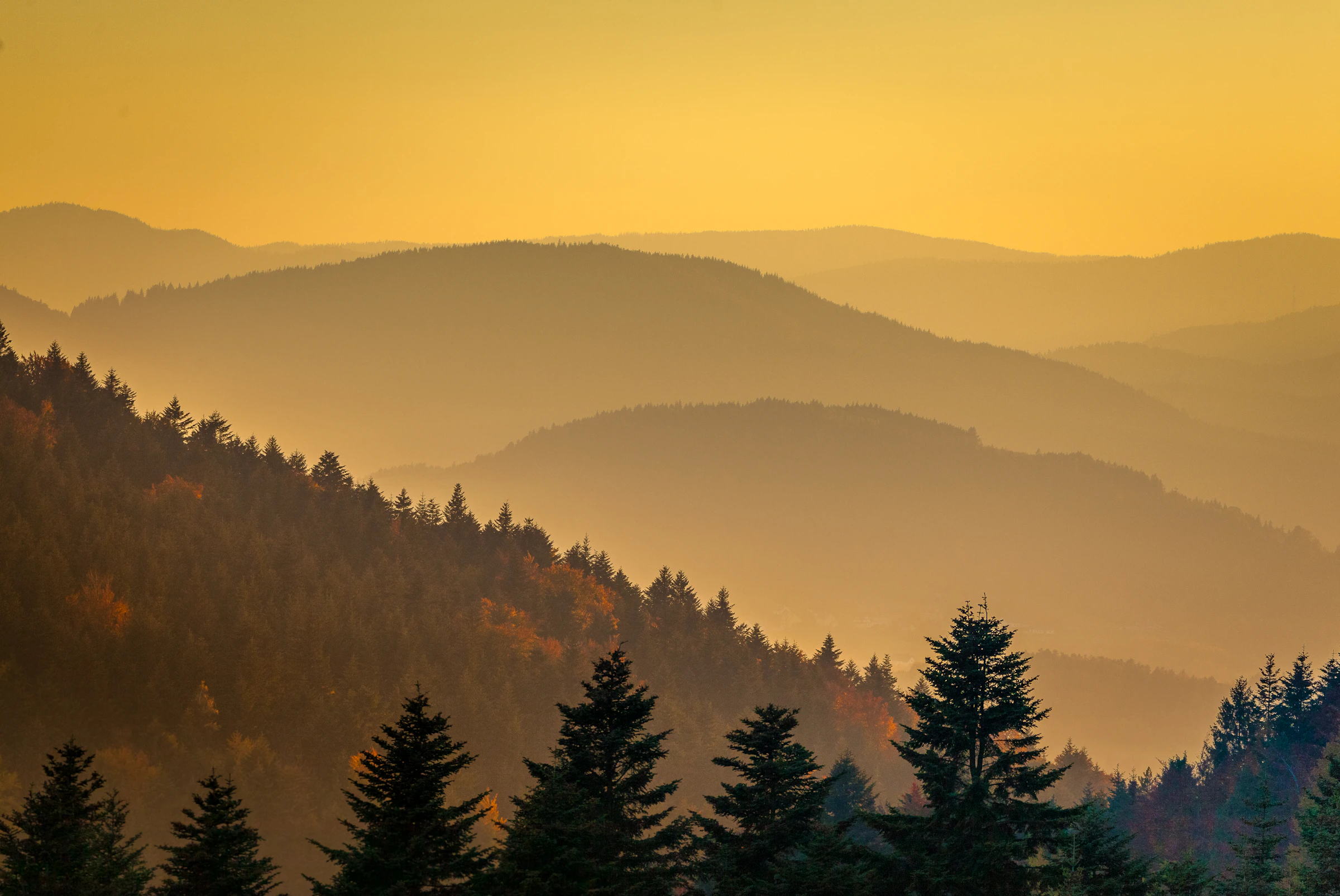 Golden evening light falling across layers of forested Colorado hills